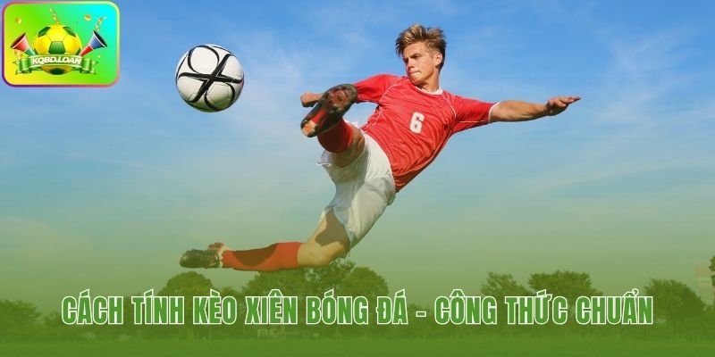 Các công thức tính tiền khi có lựa chọn thắng thua nửa