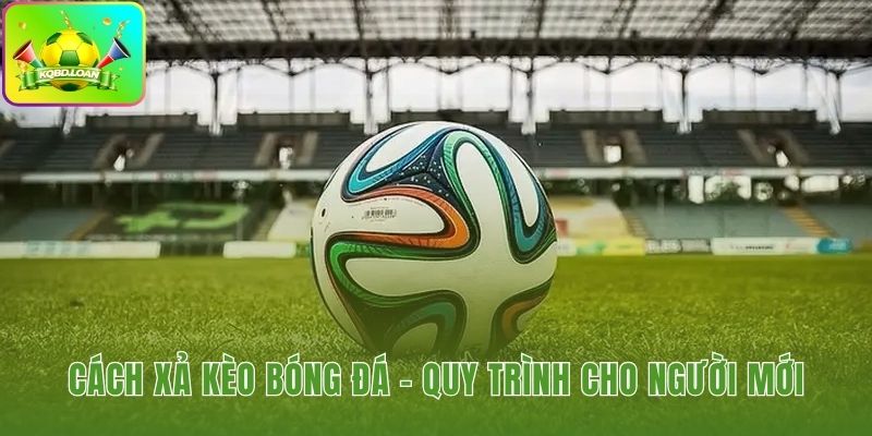 Quy trình cách xả kèo bóng đá qua vài thao tác đơn giản