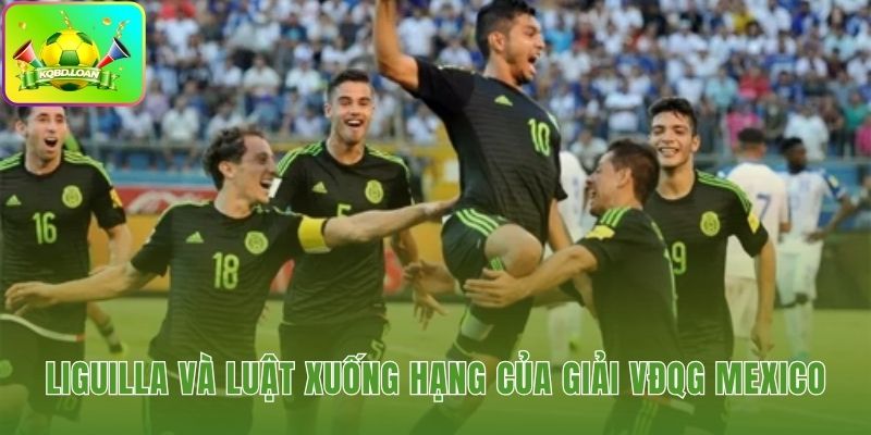 Vòng play-off Liguilla và luật xuống hạng điểm trung bình