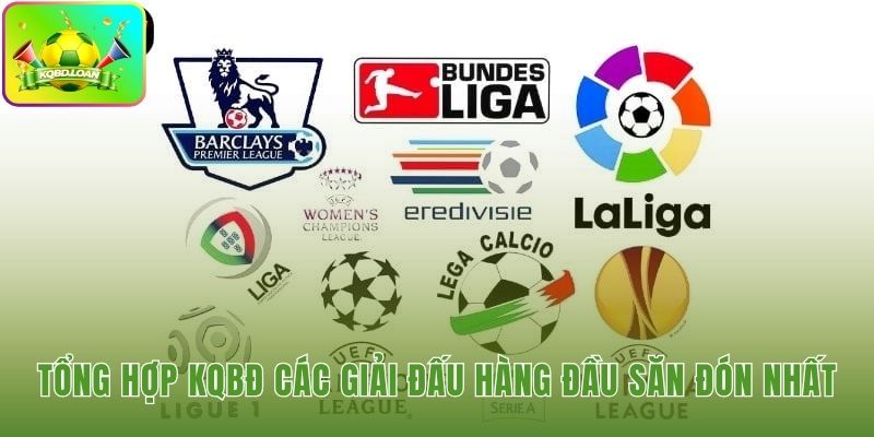 Kết quả bóng đá hôm nay từ Premier League, Champions League đến các giải cỏ